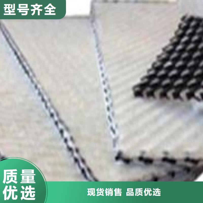 三維復(fù)合排水網(wǎng)雙向土工格柵貨源充足