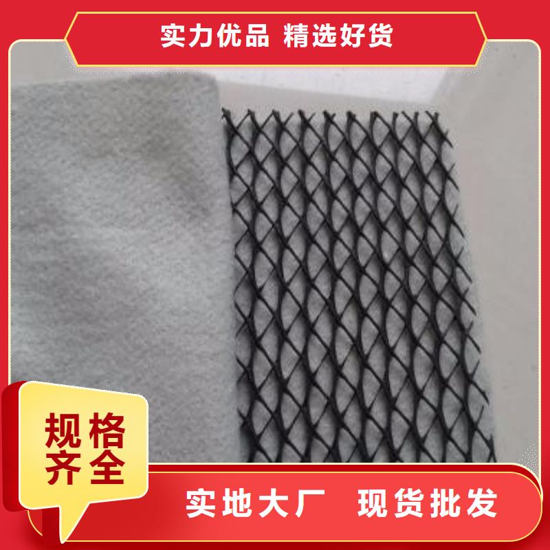 三維復合排水網_【鋼塑土工格柵】歡迎來廠考察