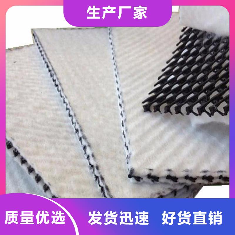 三維復(fù)合排水網(wǎng)復(fù)合土工膜敢與同行比質(zhì)量