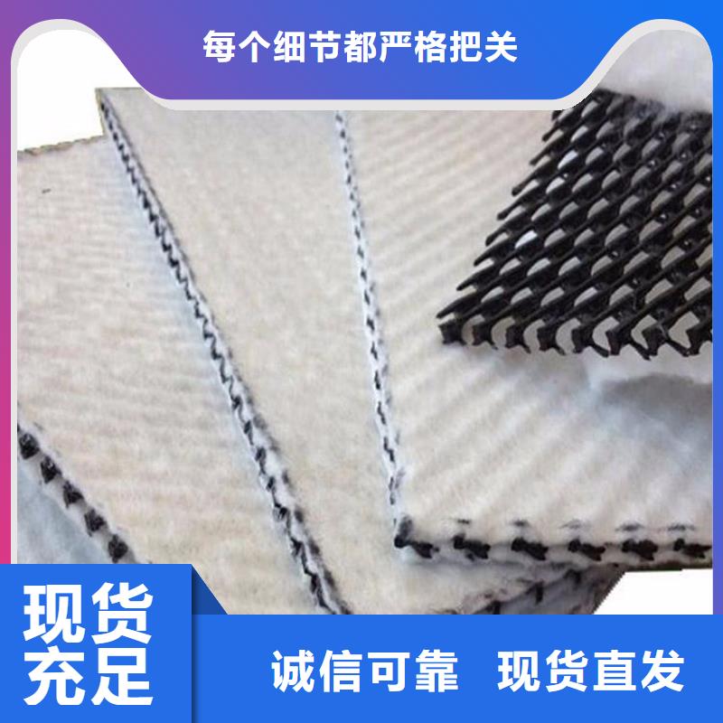 三維復合排水網凸結點鋼塑土工格柵出貨及時