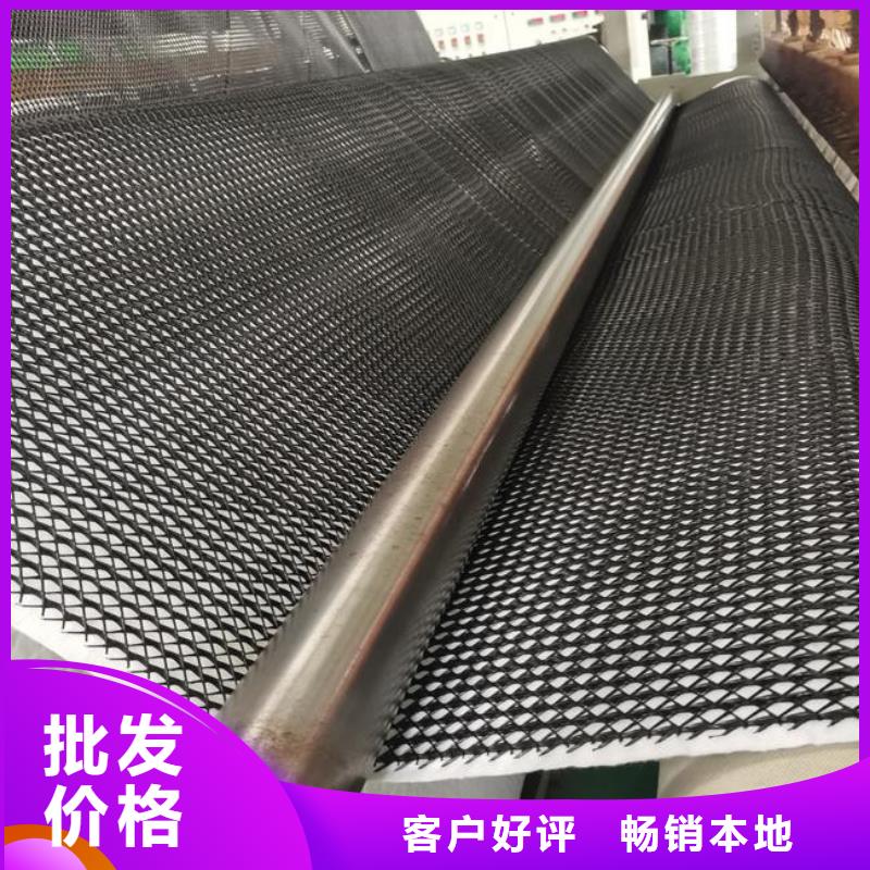 三維復(fù)合排水網(wǎng)復(fù)合土工膜敢與同行比質(zhì)量