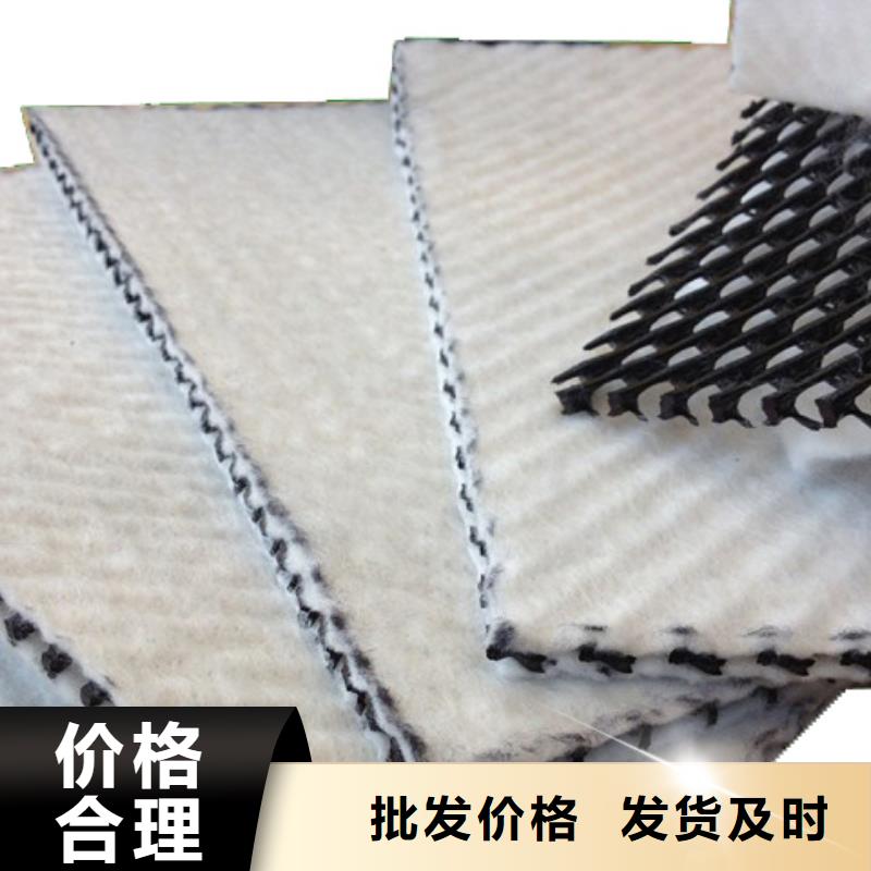 三維復合排水網【單向塑料土工格柵】廠家批發價