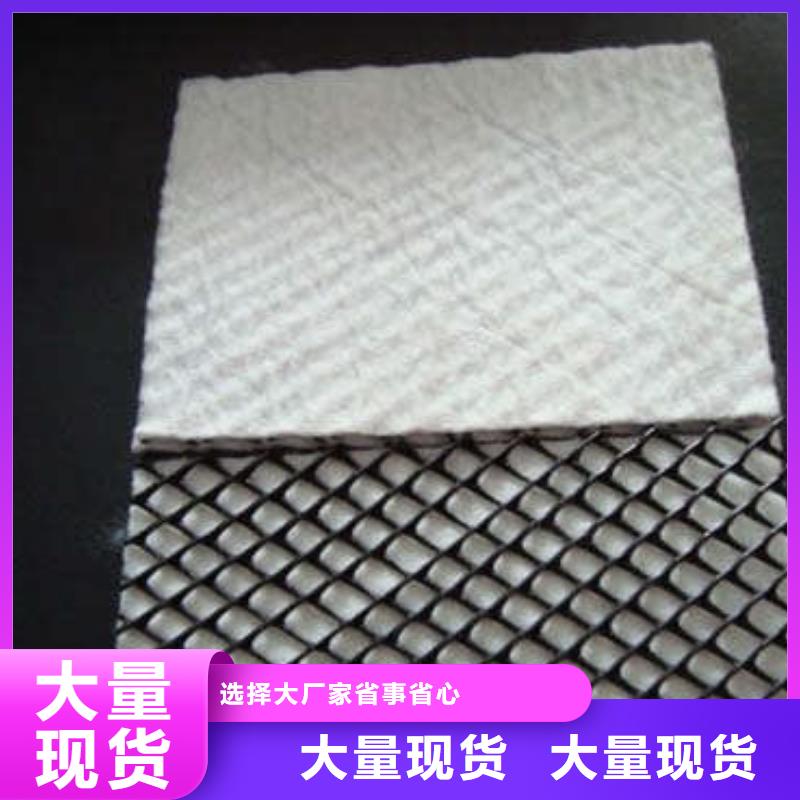 三維復(fù)合排水網(wǎng)-塑料土工格柵匠心制造