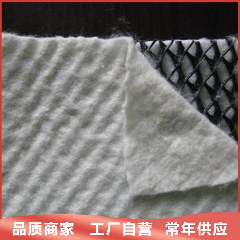 【三維復合排水網】土工格柵細節展示