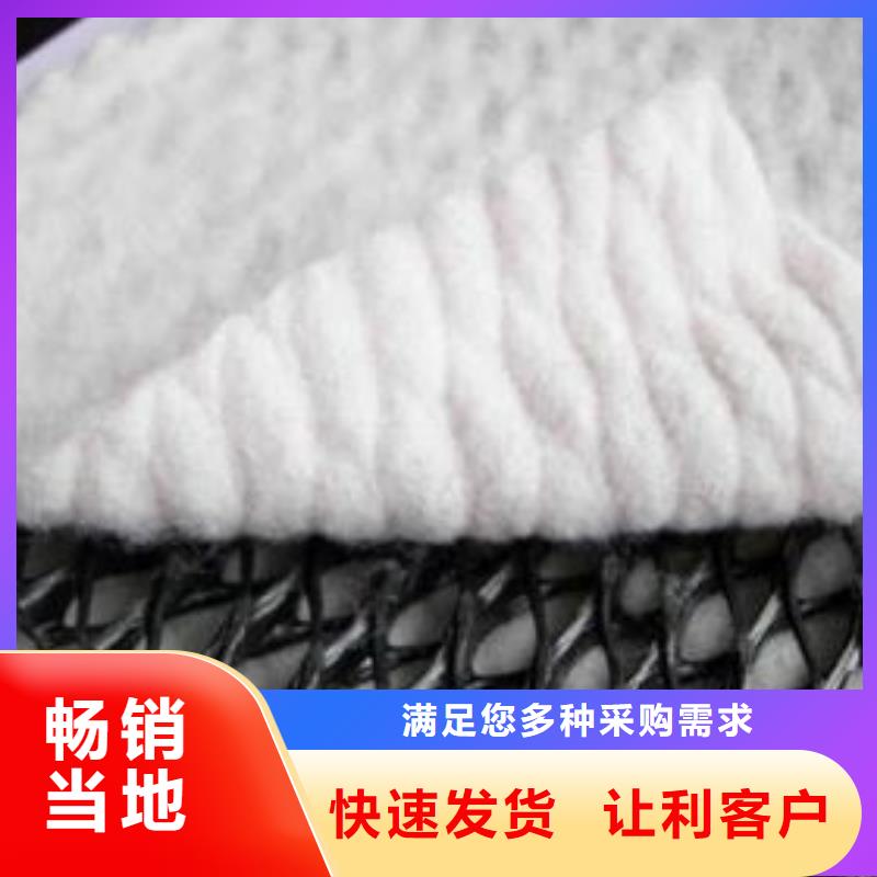 【三維復合排水網】土工格柵細節展示