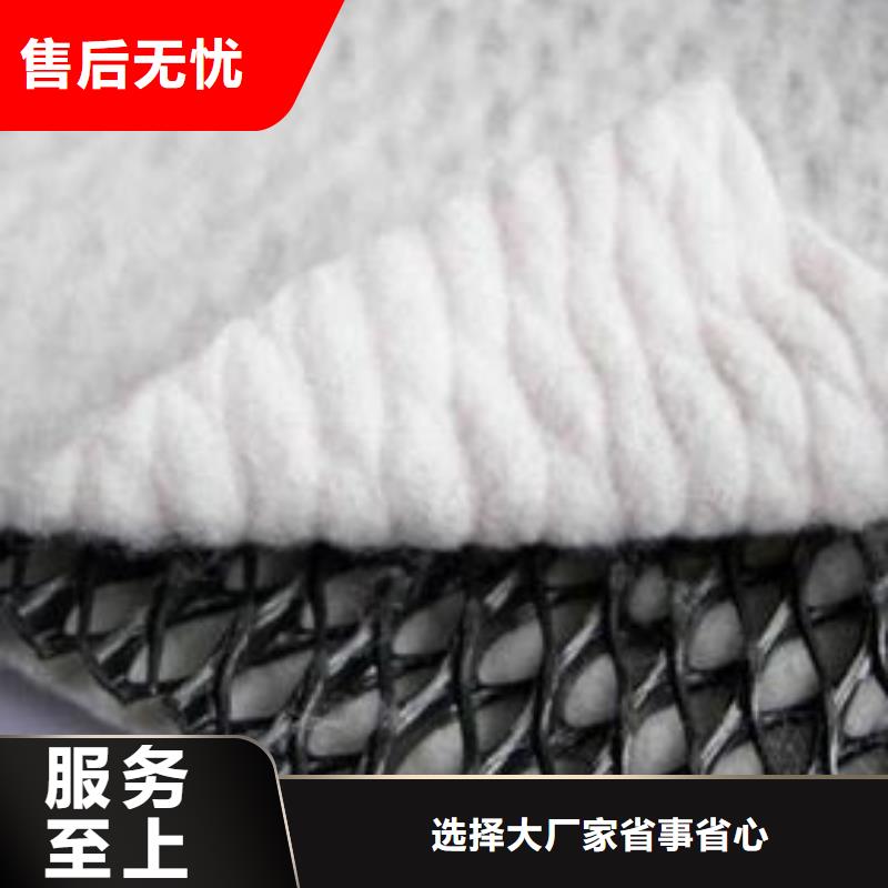 三維復合排水網_【鋼塑土工格柵】歡迎來廠考察