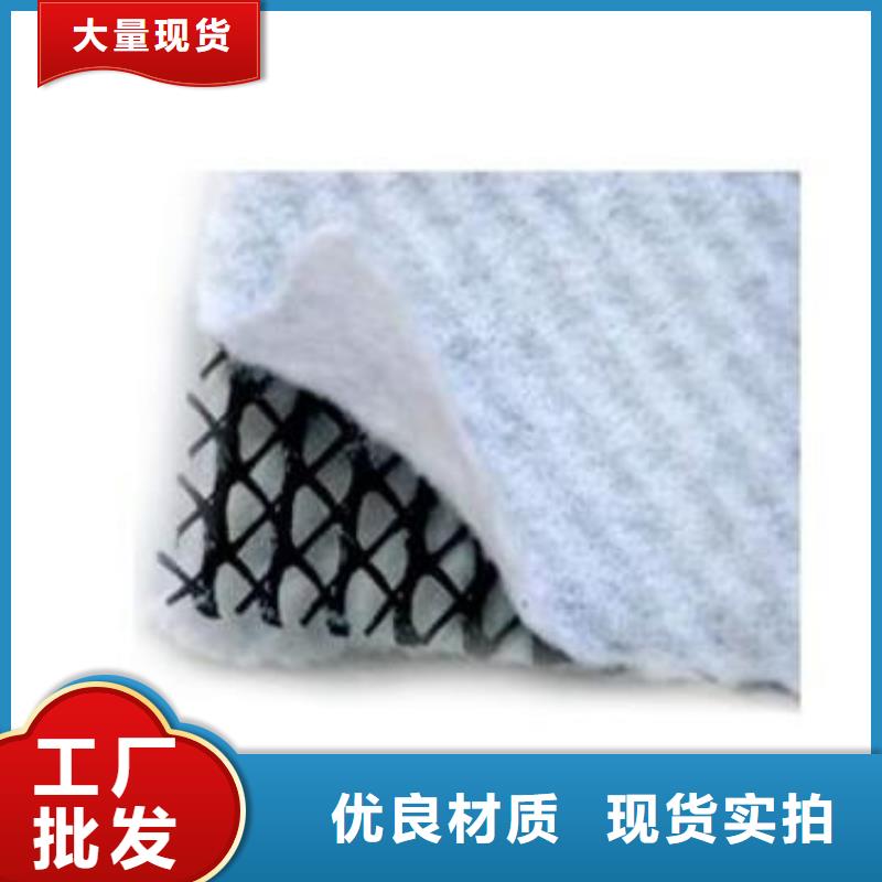 三維復合排水網_【鋼塑土工格柵】歡迎來廠考察