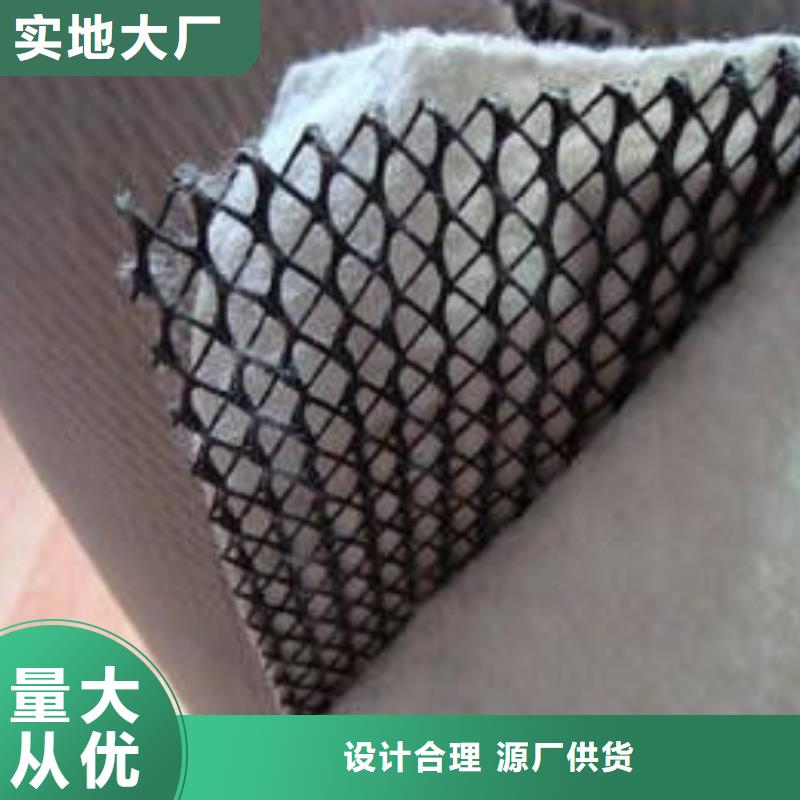 三維復(fù)合排水網(wǎng)雙向土工格柵貨源充足