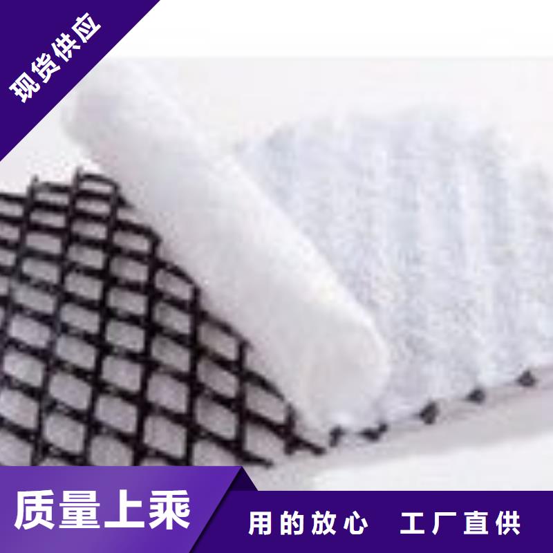 三維復(fù)合排水網(wǎng)雙向土工格柵貨源充足