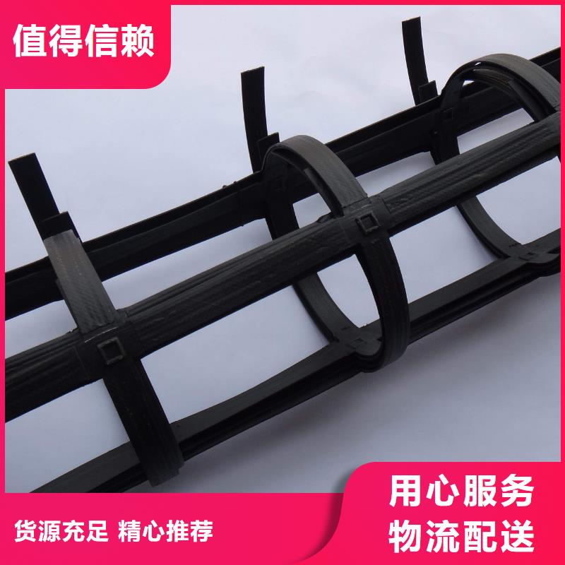 【钢塑土工格栅】-单向塑料格栅为您精心挑选中齐涤纶格栅