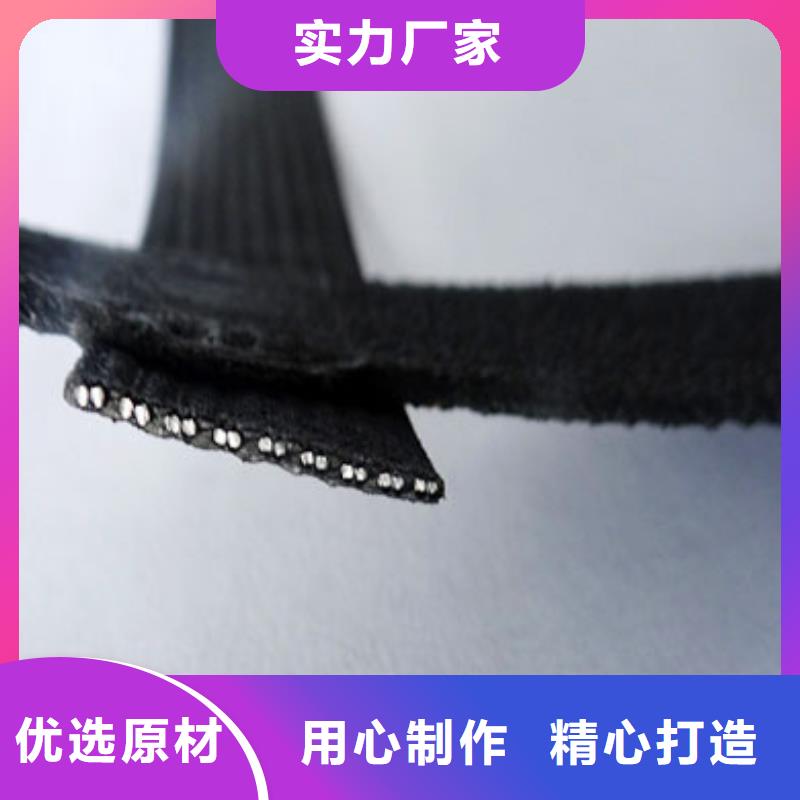 【钢塑土工格栅】-单向塑料格栅为您精心挑选中齐涤纶格栅