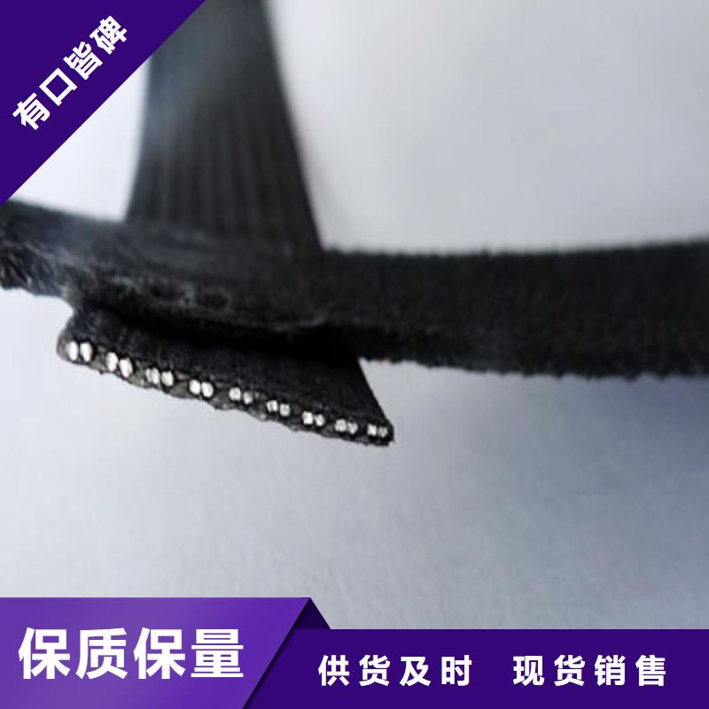 【鋼塑土工格柵單向塑料土工格柵快捷的物流配送】