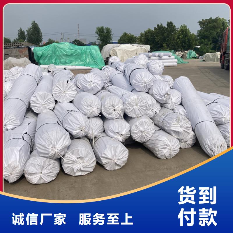 鋼塑土工格柵,【長絲土工布】源廠定制