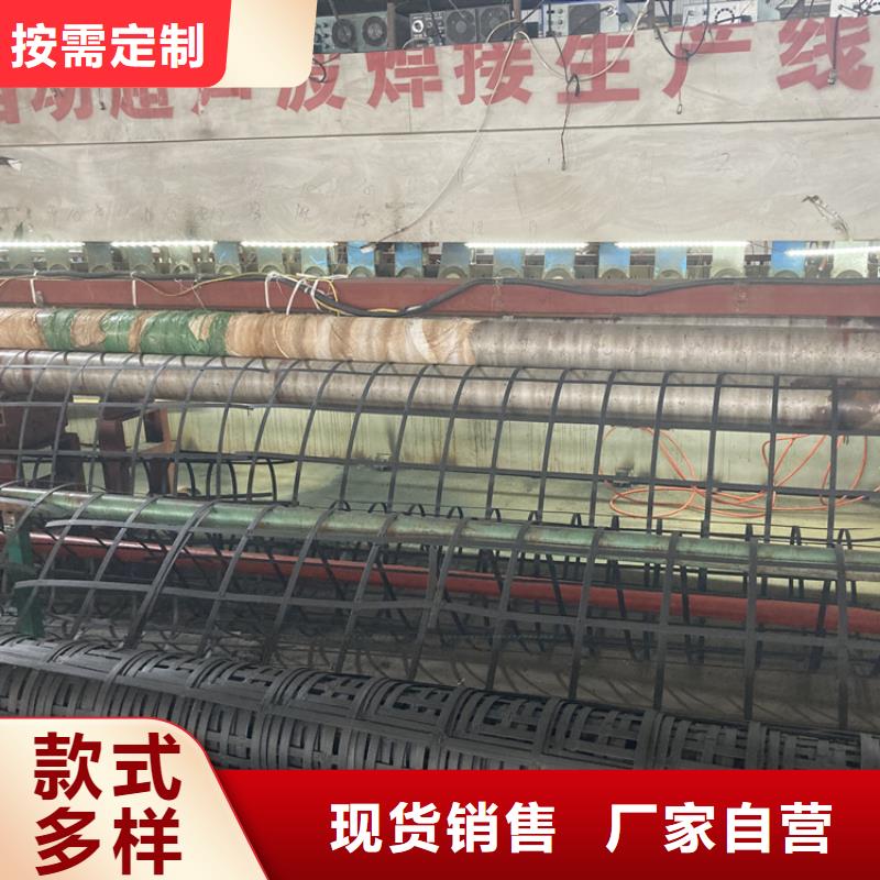 土工格柵鋼塑土工格柵廠家直銷