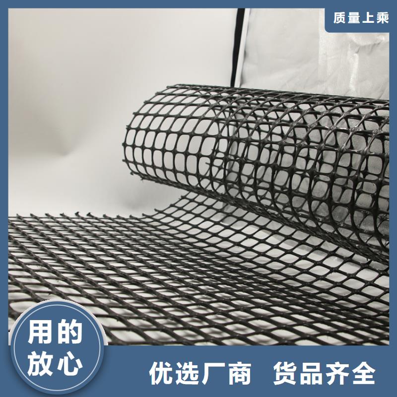 礦用塑料格柵塑料土工格柵生產廠家