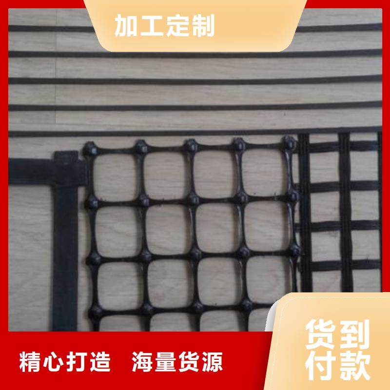 塑料土工格柵廠家直銷多少錢一平