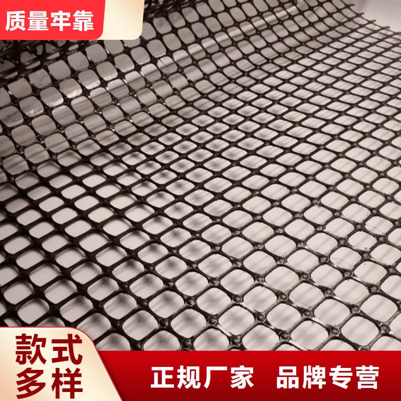 塑料土工格柵-工程布實力見證