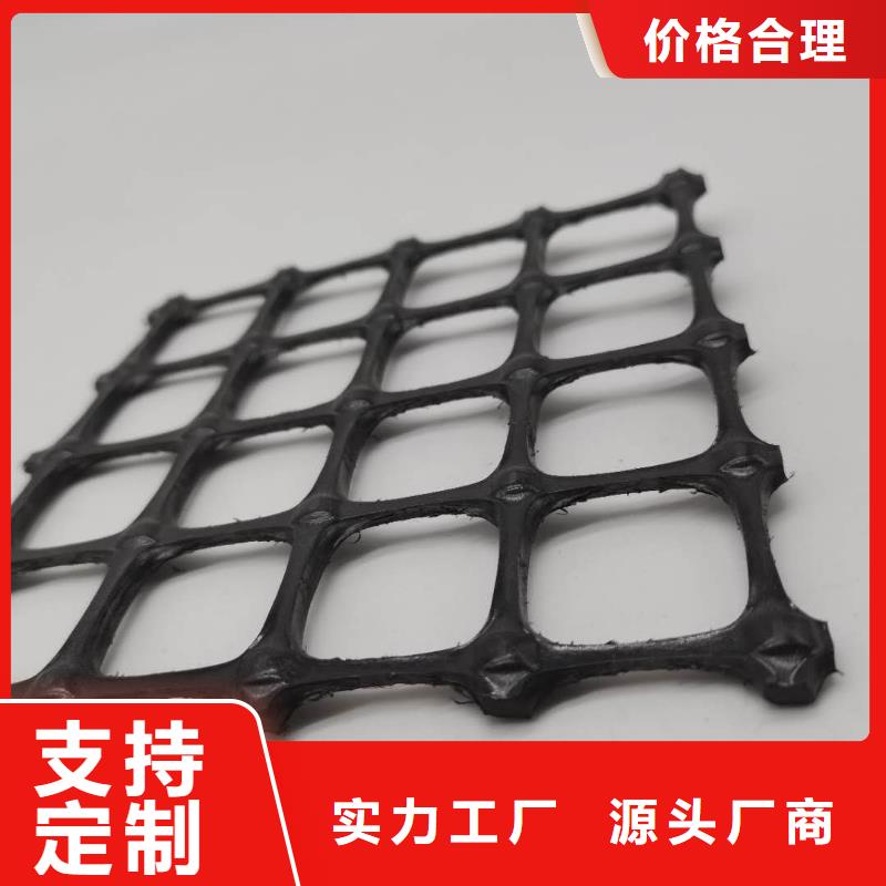塑料土工格柵土工席墊選擇我們沒錯