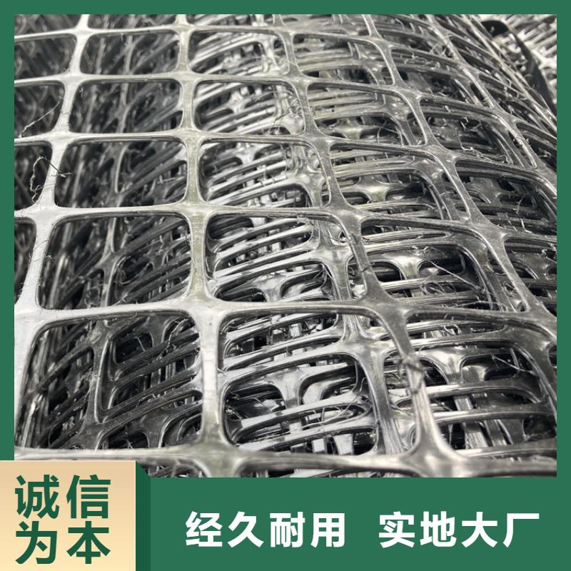塑料土工格柵,滌綸格柵專業信賴廠家