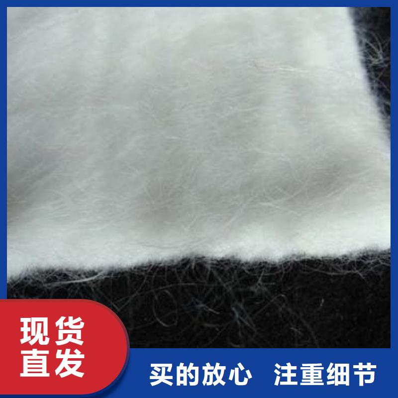 黑色土工布養(yǎng)護(hù)布防滲布防水布生產(chǎn)廠家免費(fèi)寄樣