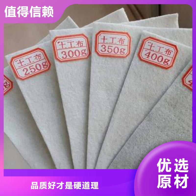 短絲土工布白色土工布高鐵布廠家批發(fā)歡迎來訪