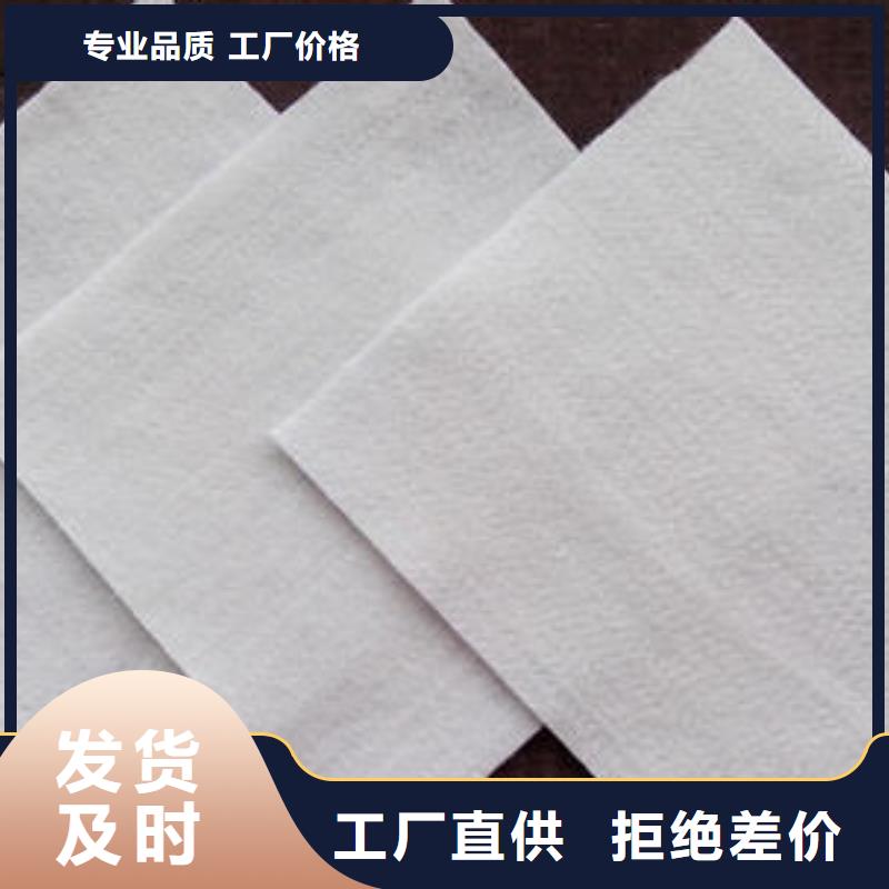 土工布钢塑土工格栅工厂采购