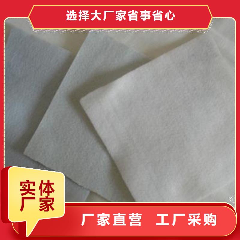 黑色土工布養(yǎng)護(hù)布防滲布防水布生產(chǎn)廠家免費(fèi)寄樣