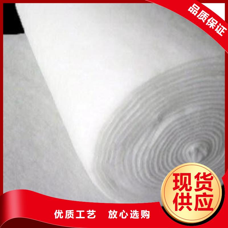 短絲土工布丙綸土工布聚酯布生產廠家歡迎致電