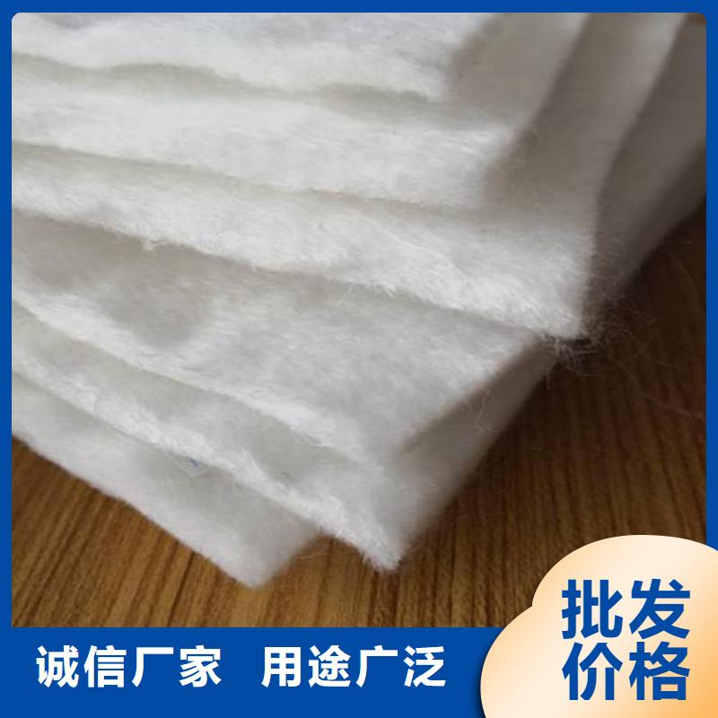 土工布三維植被網一站式供應廠家
