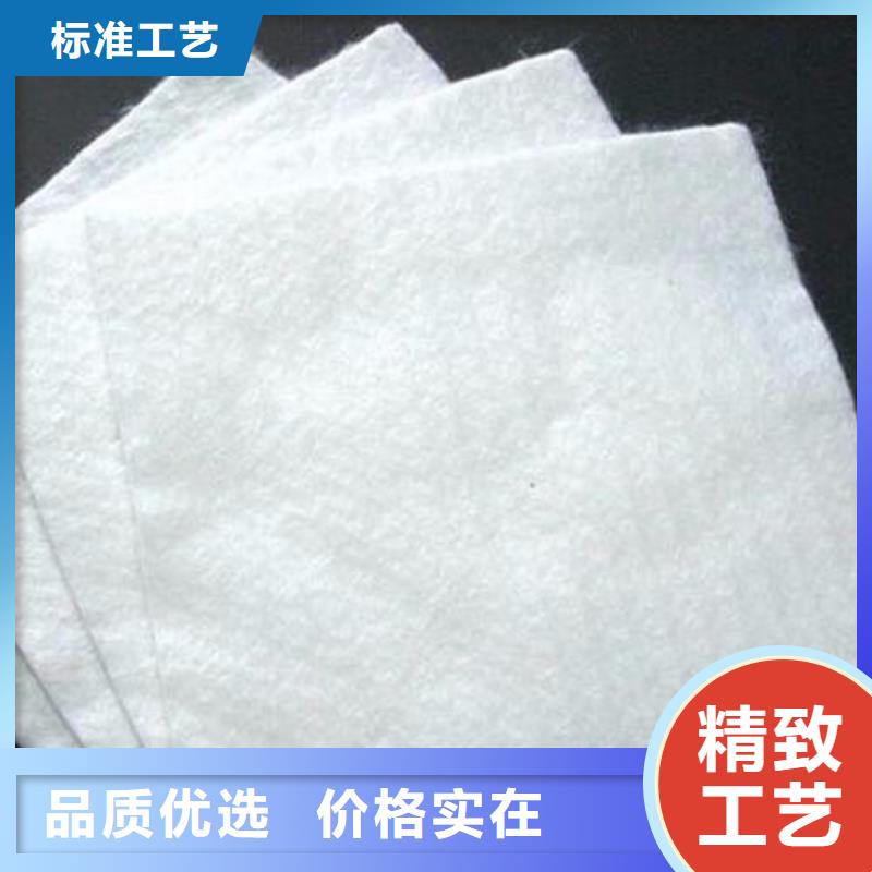 土工布黑色土工布養護布廠家批發歡迎來訪