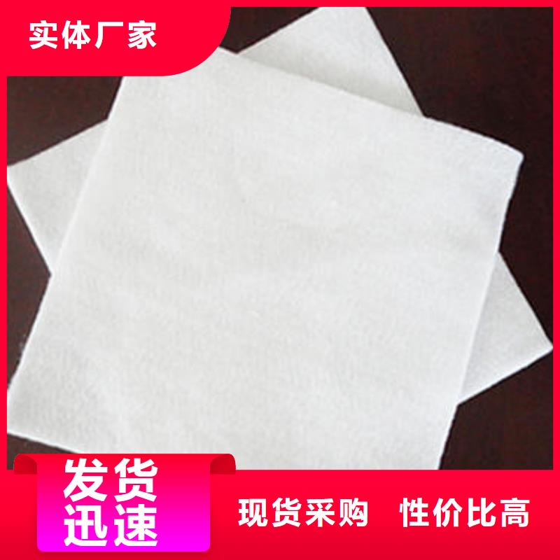 土工布pp焊接土工格柵實力商家