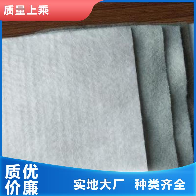 土工布黑色土工布養護布廠家批發歡迎來訪