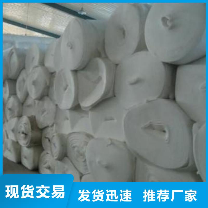 長絲土工布價格土工布生產(chǎn)廠家有現(xiàn)貨
