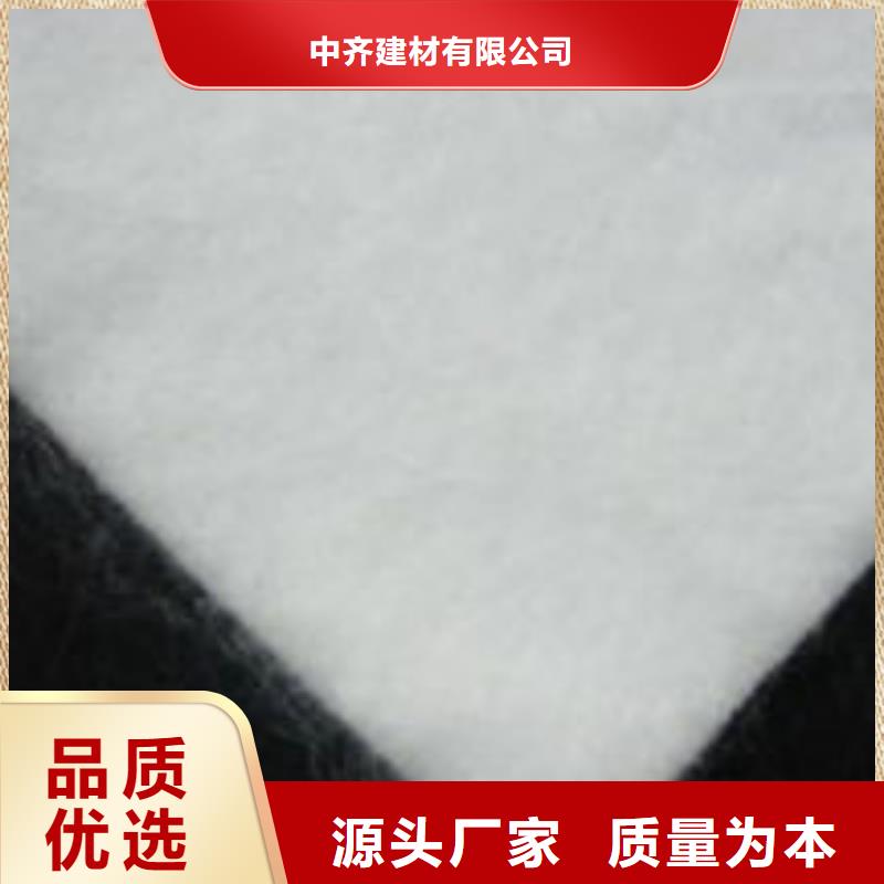 土工布【凸結點鋼塑土工格柵】現貨快速采購