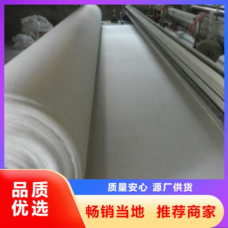 土工布凸結點鋼塑土工格柵好產品價格低