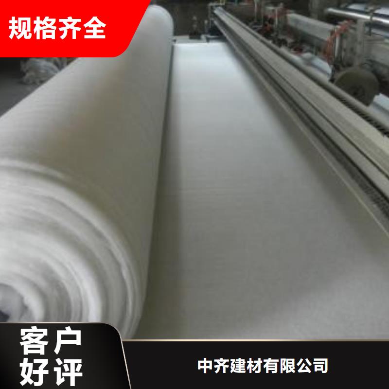 涤纶格栅视频-山西省阳泉市|盂县|平定|大同|晋城|忻州|长治|运城|晋中|吕梁涤纶格栅-中齐