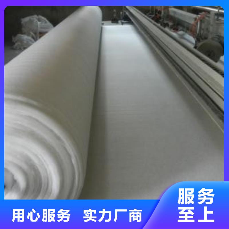 土工布廠家直銷養(yǎng)護(hù)土工布價格