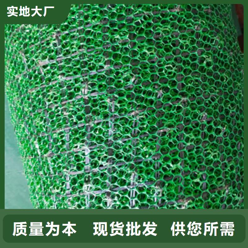 三維植被網保溫土工布快速生產