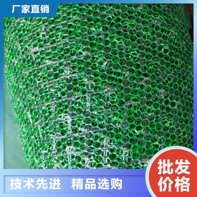 三維植被網源廠供貨