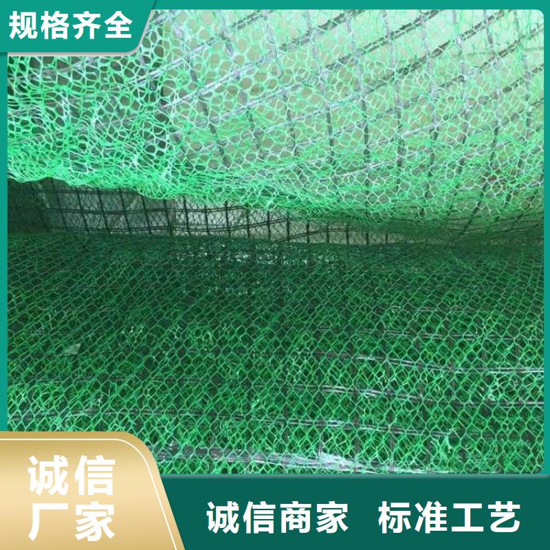 復合三維網廠家三維排水網價格三維土工排水網多少錢