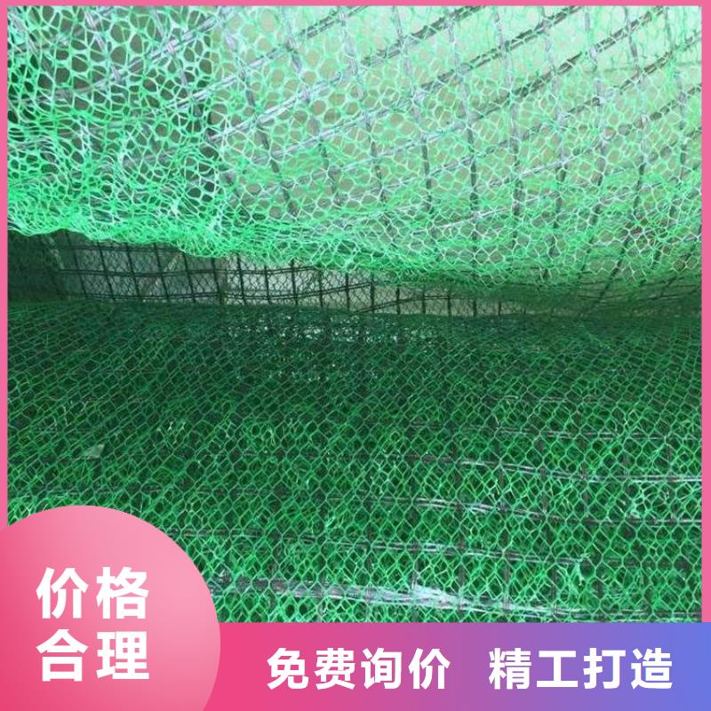 三維植被網(wǎng)廠家綠化植草網(wǎng)價格生產(chǎn)基地