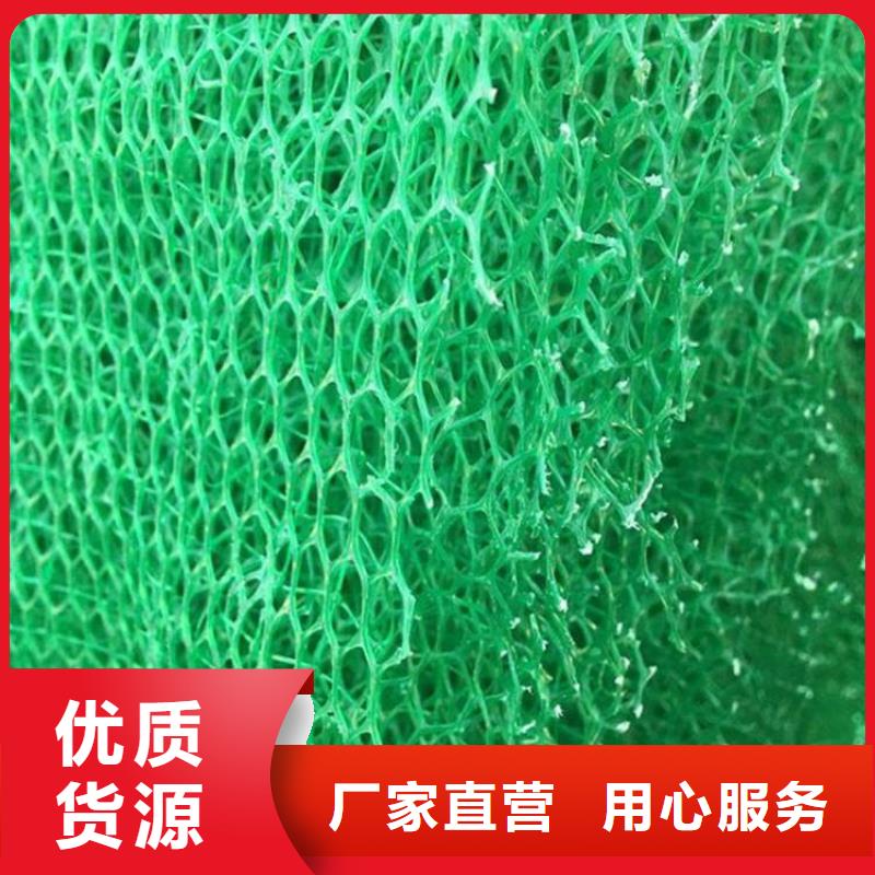 EM3三維植被網價格-EM4三維植被網價格EM3三維植被網價格