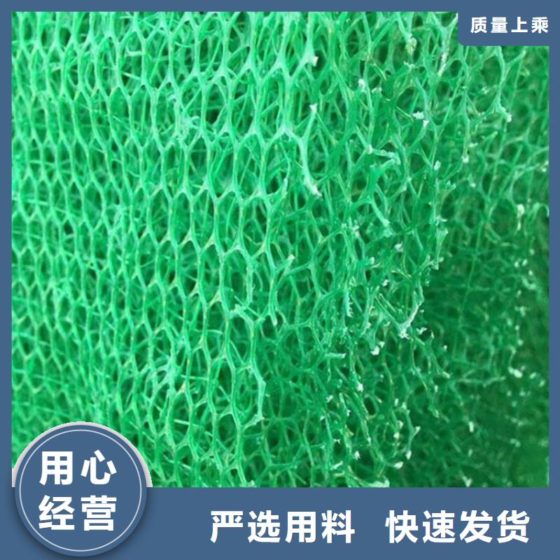 三维植被网,加筋布厂家货源