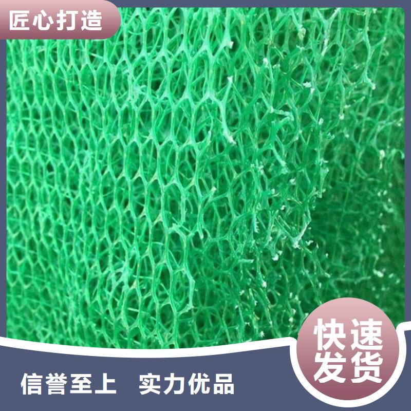 三維植被網廠家三維網墊價格生產廠家