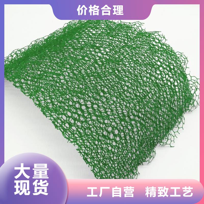 三維植被網(wǎng)廠家綠化植草網(wǎng)價格生產(chǎn)基地