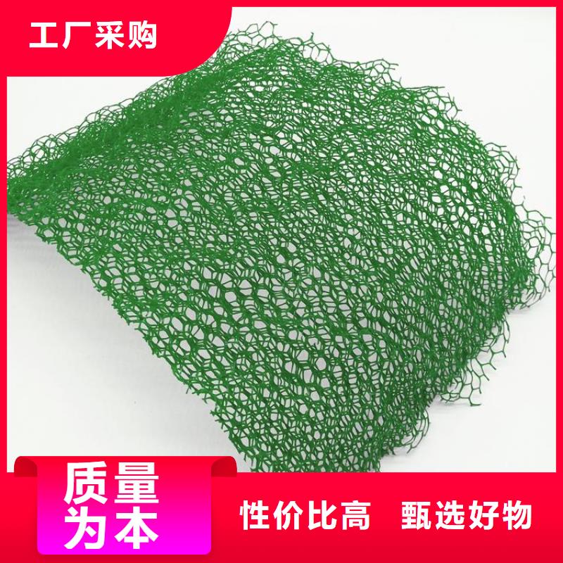 三維植被網土工布批發供應