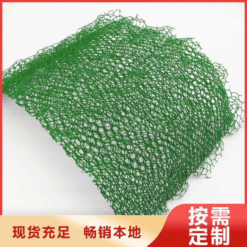 三維植被網(wǎng)復(fù)合土工膜本地配送