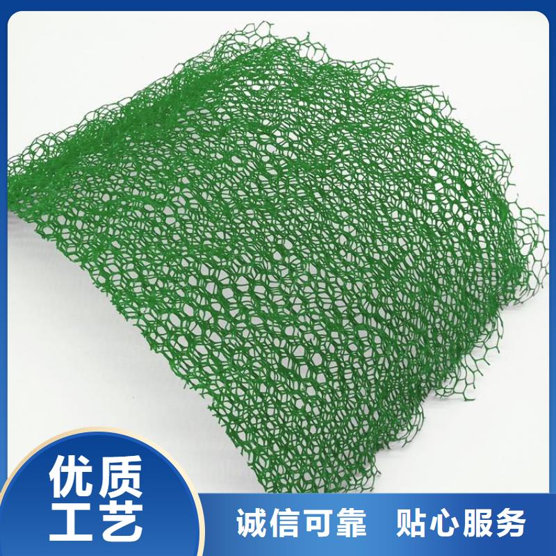 三維植被網(wǎng),護(hù)坡土工網(wǎng)加工定制