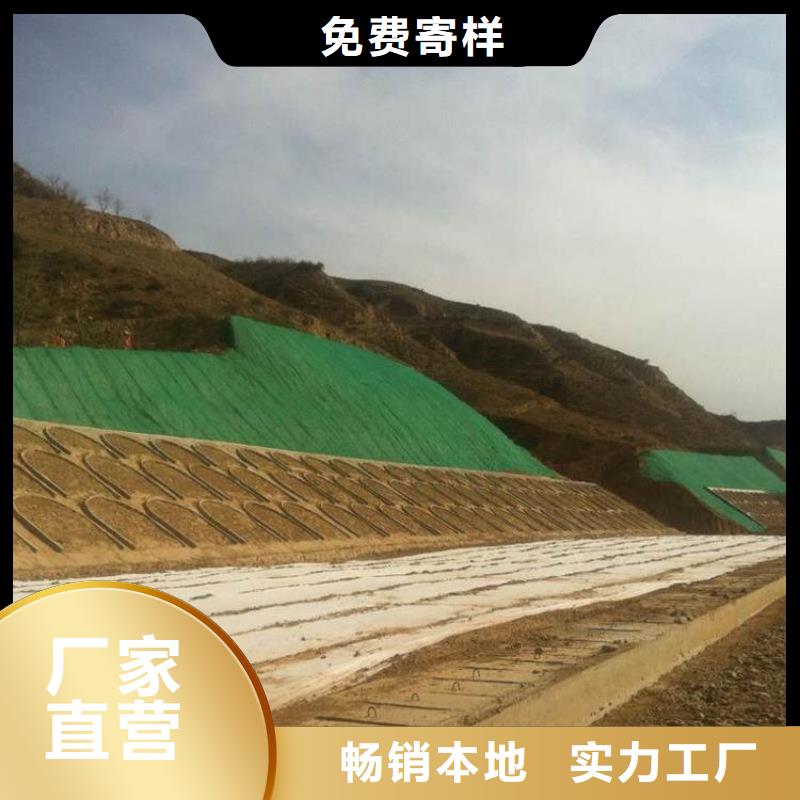 三维植被网防水土工布好产品好服务