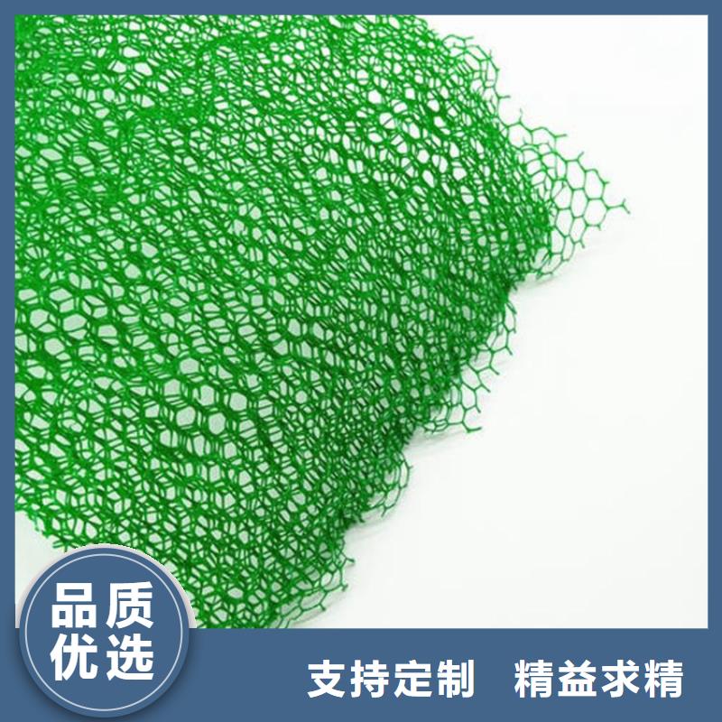 三維土工網墊廠家土工網墊價格生產基地